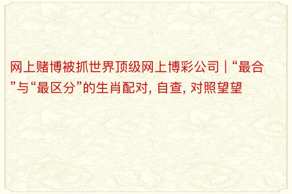 网上赌博被抓世界顶级网上博彩公司 | “最合”与“最区分”的生肖配对, 自查, 对照望望