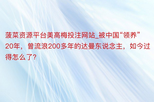 菠菜资源平台美高梅投注网站_被中国“领养”20年，曾流浪200多年的达曼东说念主，如今过得怎么了？